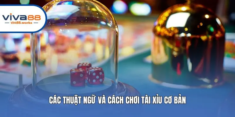 Các thuật ngữ và cách chơi tài xỉu cơ bản