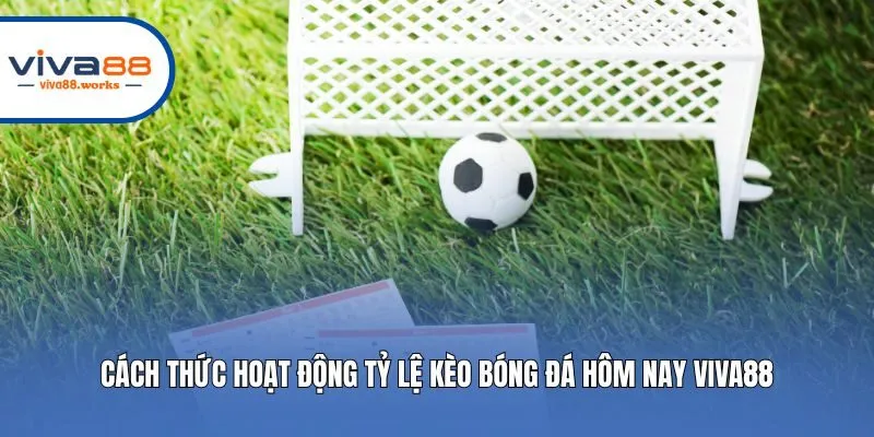 Cách thức hoạt động tỷ lệ kèo bóng đá hôm nay Viva88